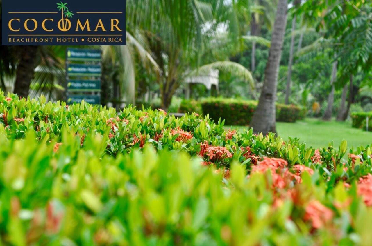 Cocomar Beachfront Hotel パリタ エクステリア 写真