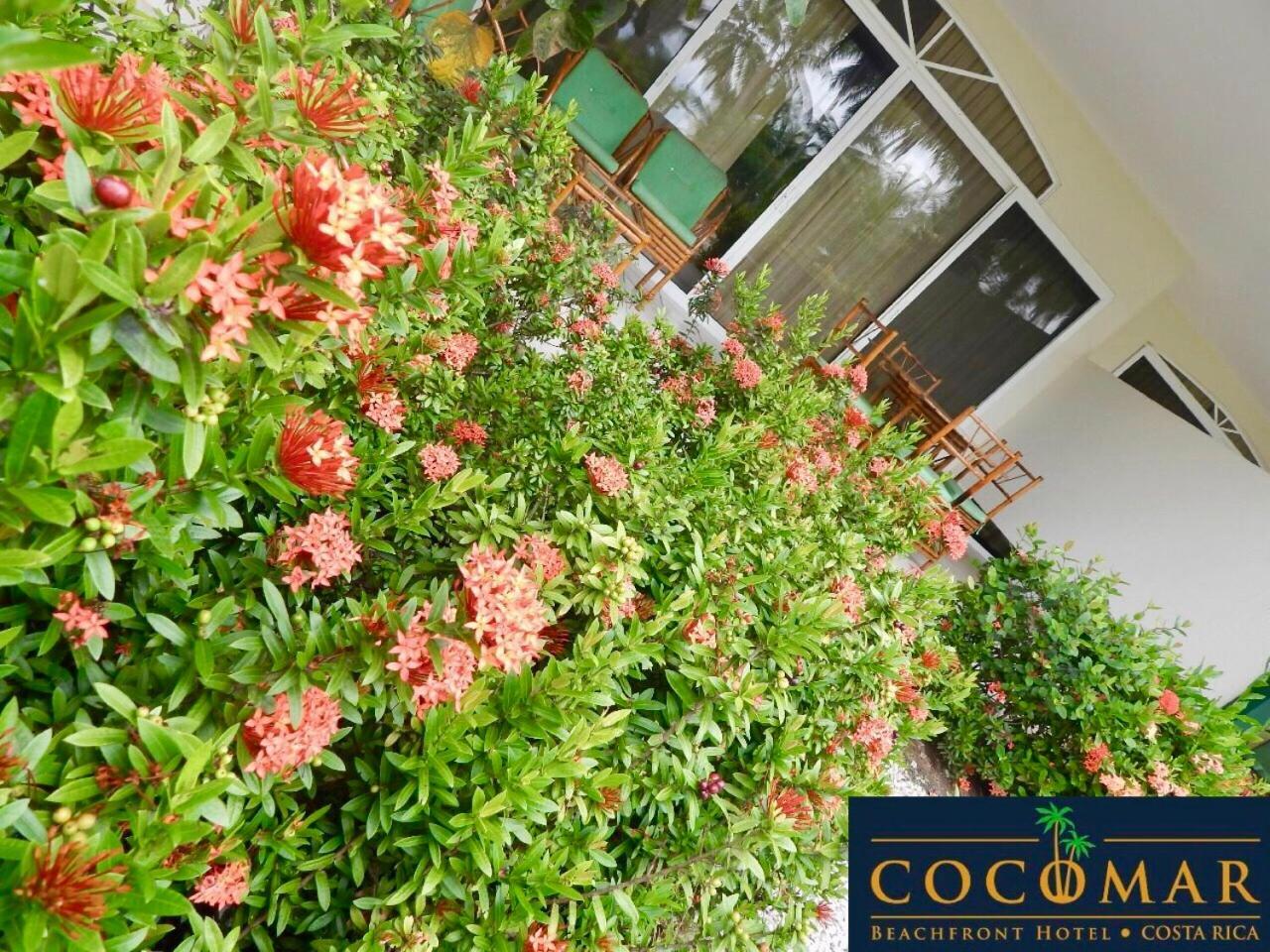 Cocomar Beachfront Hotel パリタ エクステリア 写真